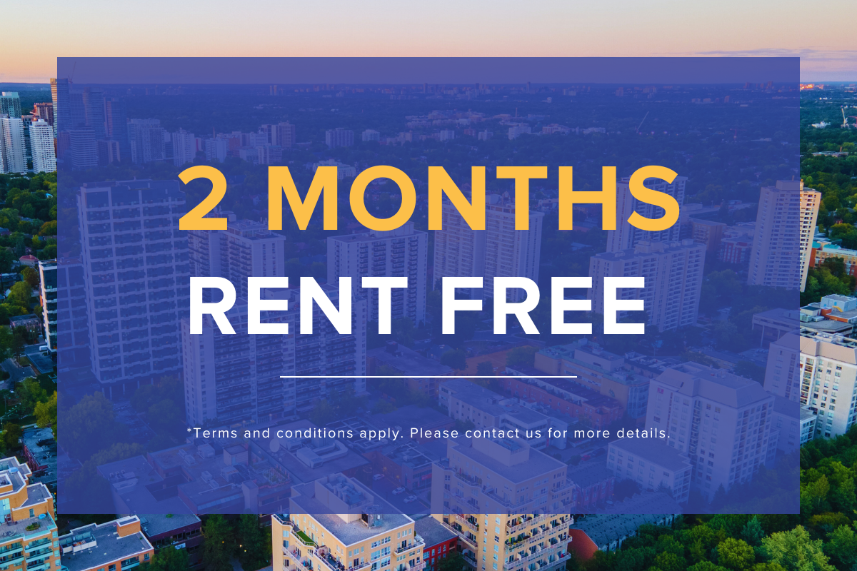 Limited Time Offer!